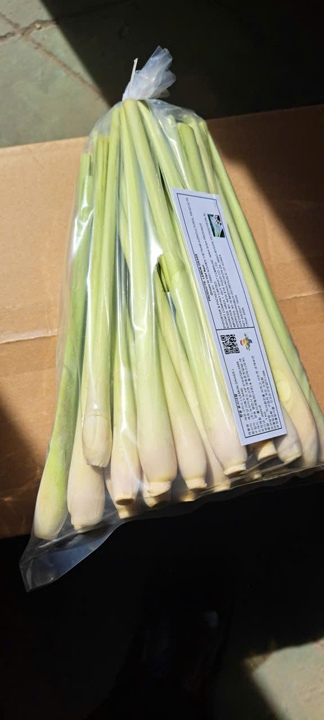 Fresh lemongrass