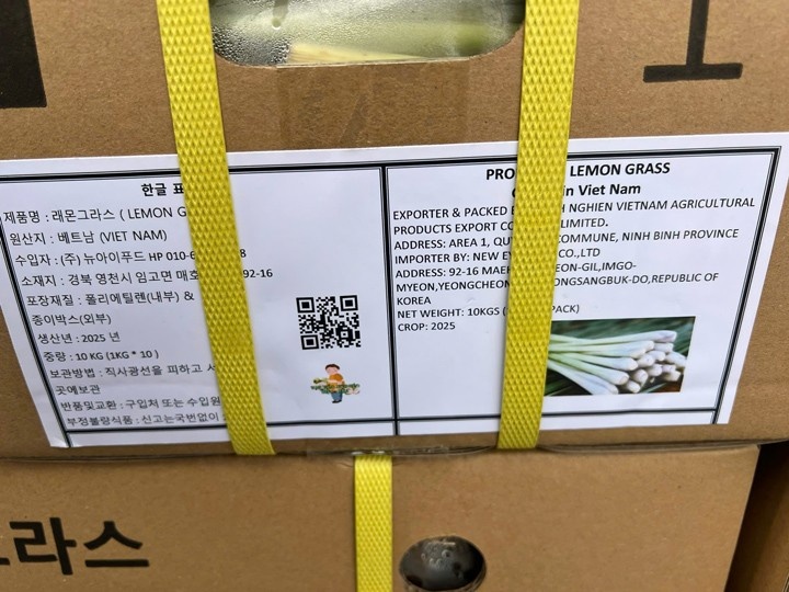 Fresh lemongrass