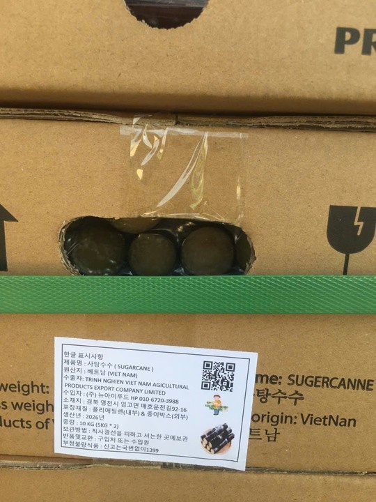 Fresh cut sugarcane