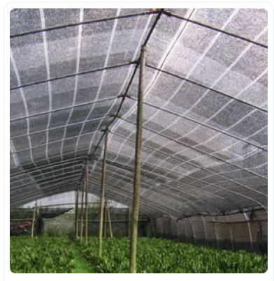 Greenhouse netting