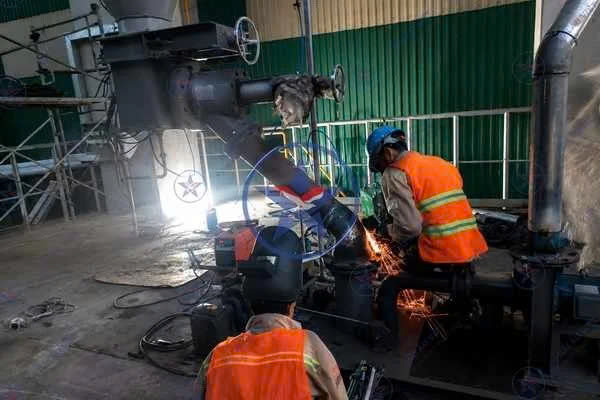 Hai Au Viet Factory