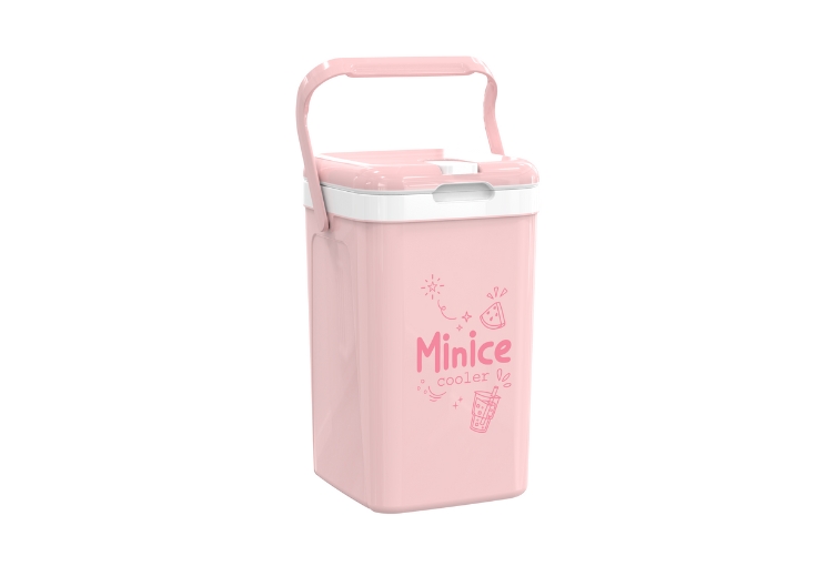 Plastic ice boxes