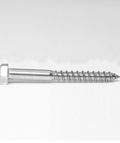 Hexagon head wood screw