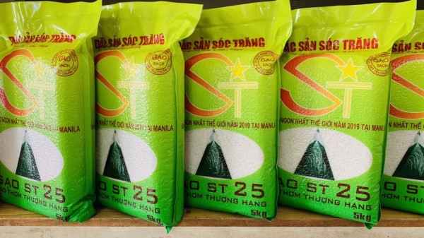ST25 rice