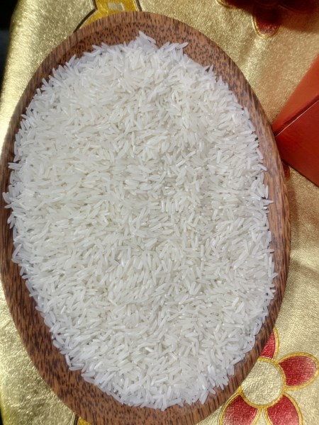 ST25 rice