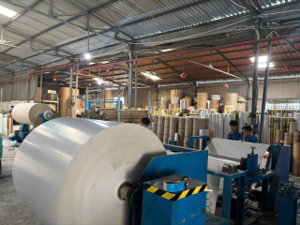 Duplex paper
