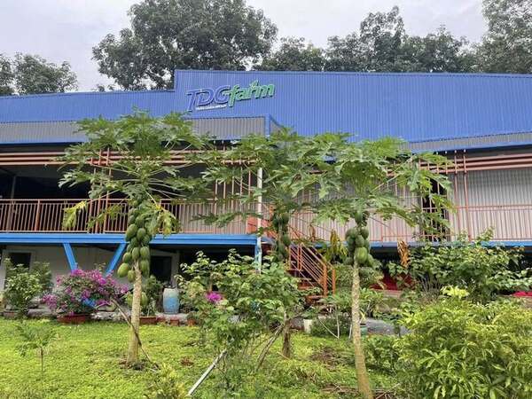 TDG Farm Company