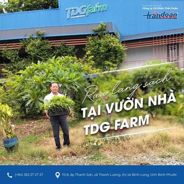 TDG Farm Company