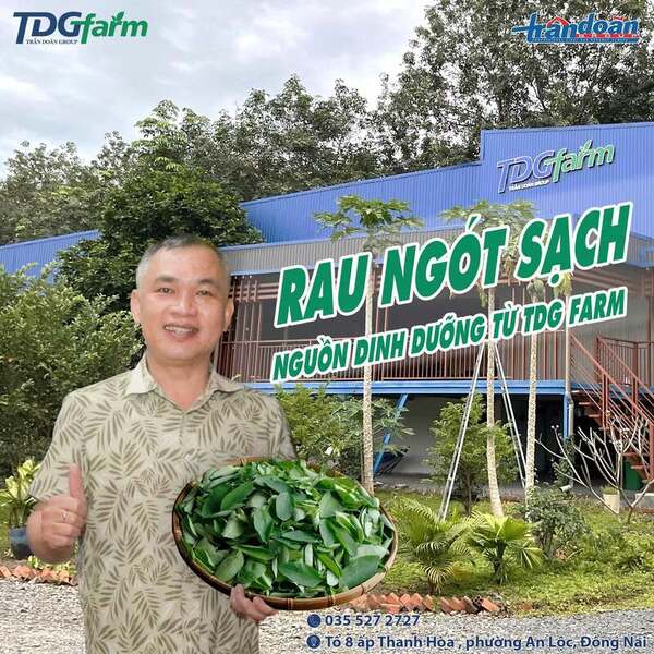 TDG Farm Company