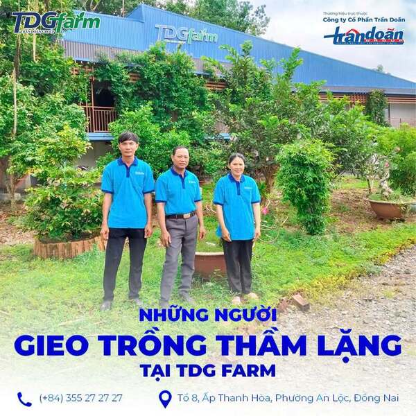 TDG Farm Company