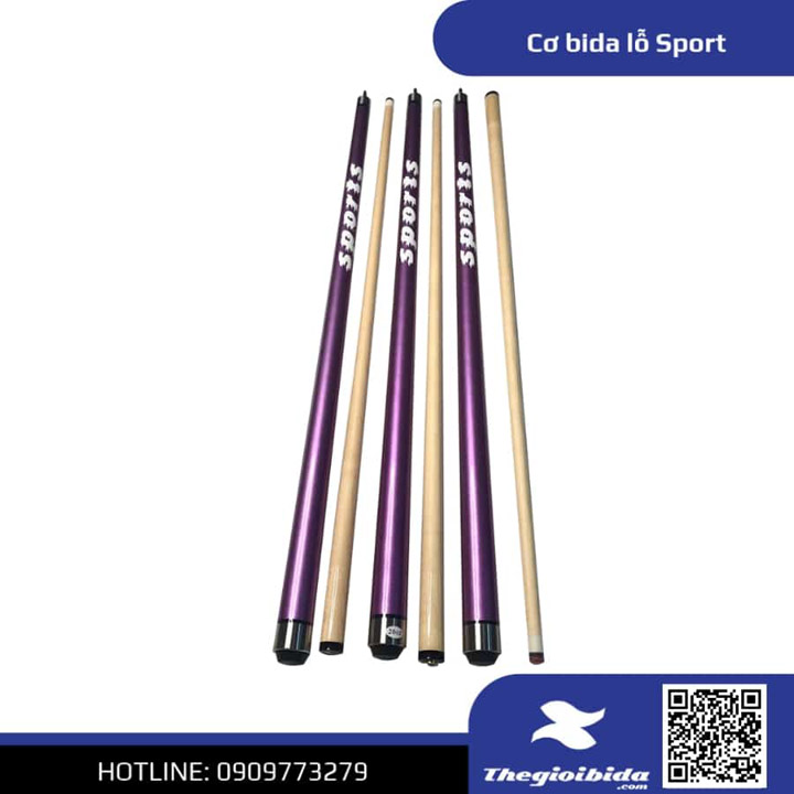 Sport Pool Cue