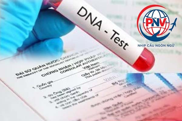 DNA test certificate consular legalization