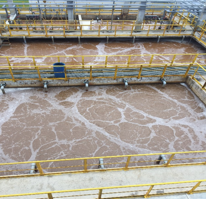Wastewater Project of Lubrizol Additives (Zhuhai) Co., Ltd