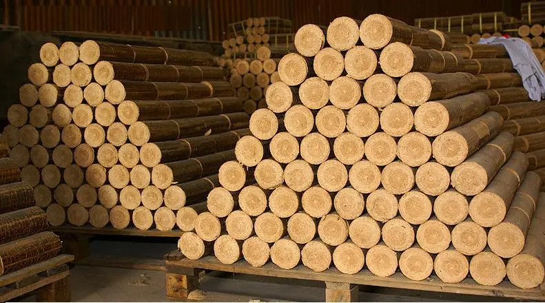 Compressed sawdust briquette