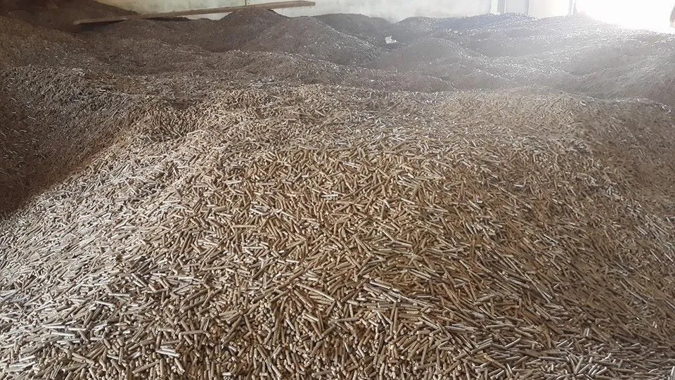 Wood pellet