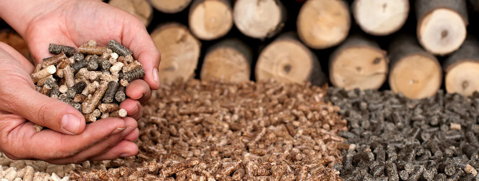 Wood pellet