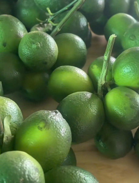 Fresh lime