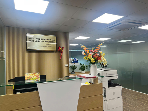 Horizon Company