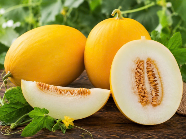 Fresh cantaloupe