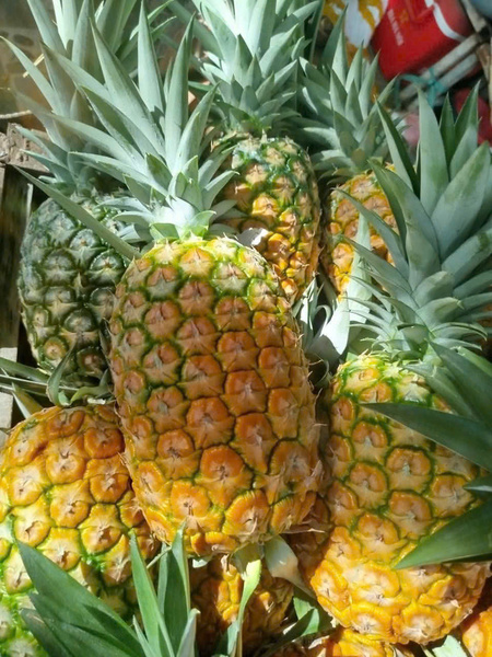 Fresh pineapple