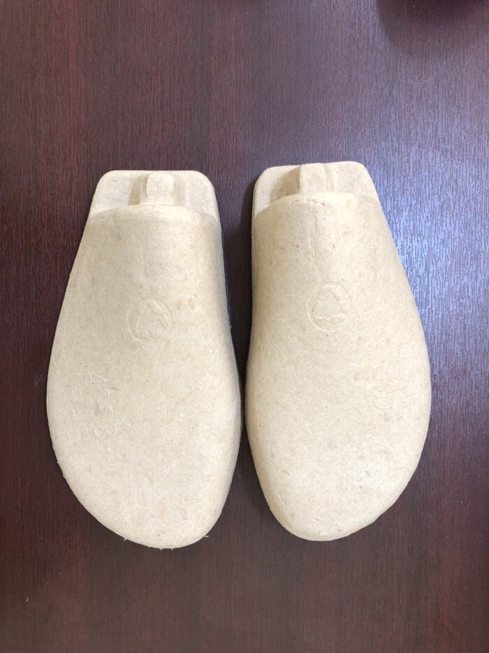 Pulp shoe insert