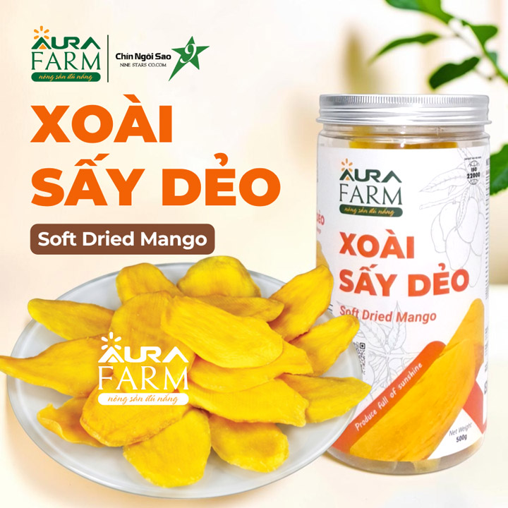 Soft-Dried Mango