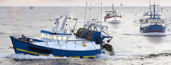 Commercial fishing wire ropes