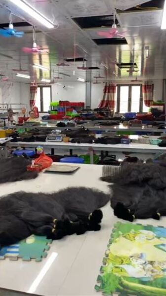 Lux Hair Vietnam Factory