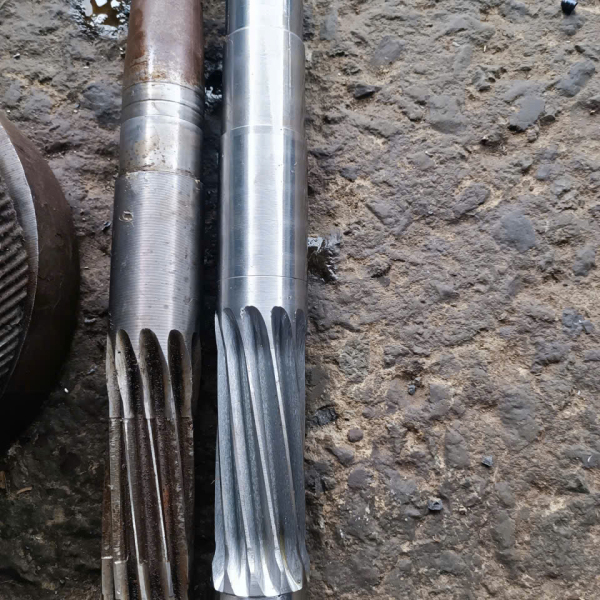 Screw shaft
