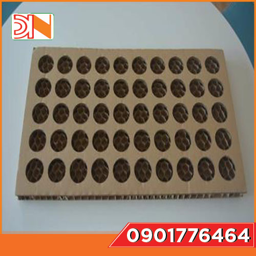 Carton tray