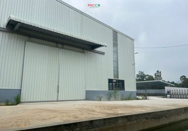 TH Timber Processing Plant