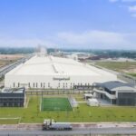 Export wood processing plant
