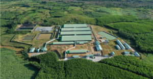 BAF Vietnam Agriculture JSC Livestock Farm