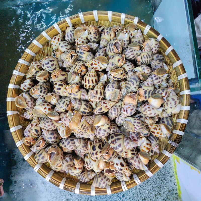 Sweet snail