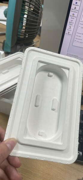 Paper pulp molds