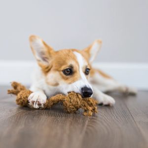 Coir fiber rope chew