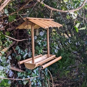 Bamboo feeder for bird