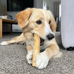 Coffee wood chew for dog
