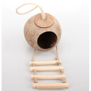 Coconut shell bird house