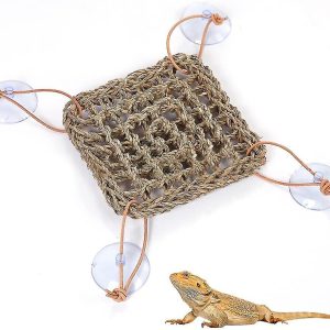 Seagrass lizard hamock
