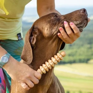 Wooden pet massager