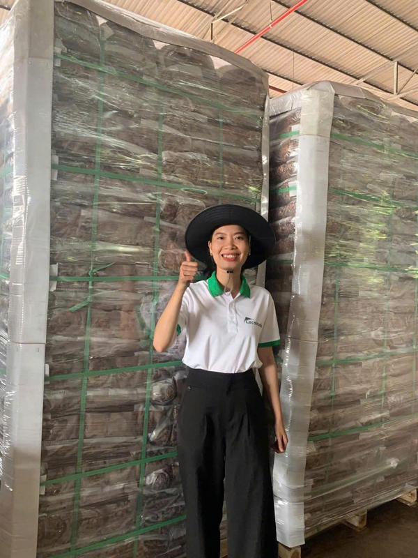 Locotrade company image