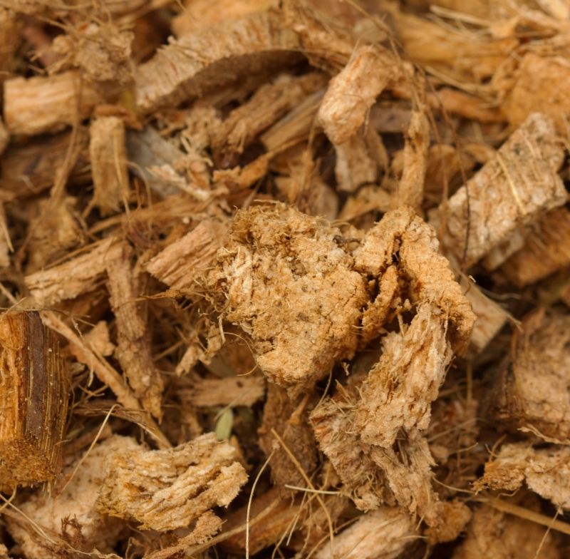 Coco husk chip