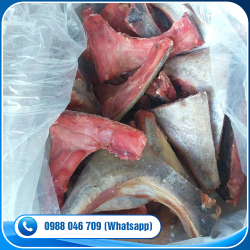 CO-Treated Tuna Collar (Kama)
