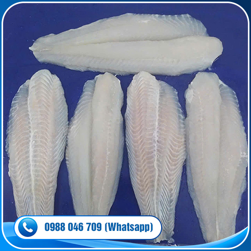 Pangasius Fillet