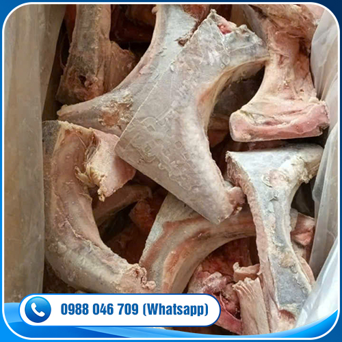 Tuna Collar (Kama)
