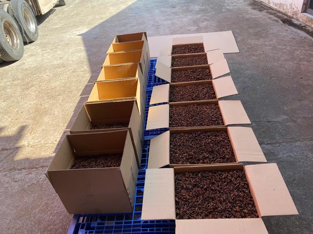 Dried star anise