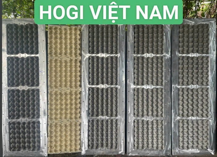 Pulp mold, pulp molding mold