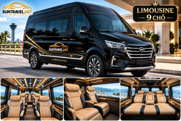 9-seater Limousine rental service