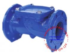 Flanged check valve